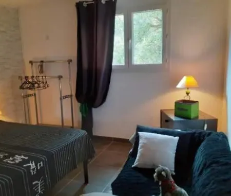 Дом отдыха Casa Gattu *