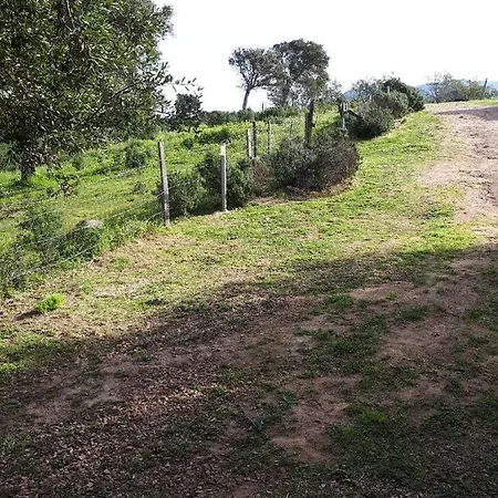 Casa Gattu Дом отдыха