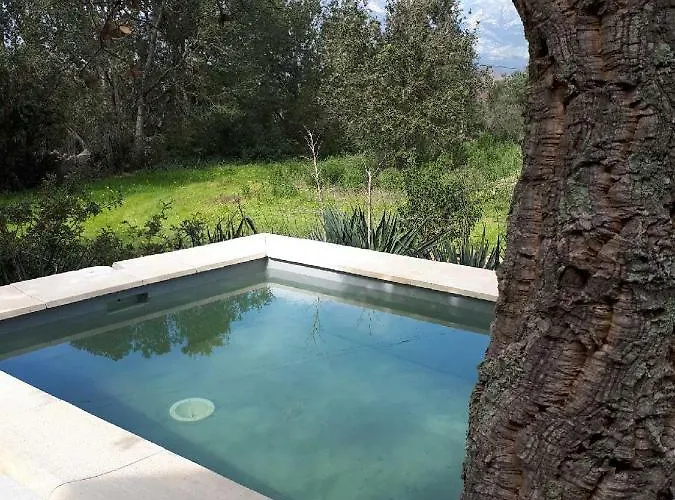 Casa Gattu Сasa de vacaciones