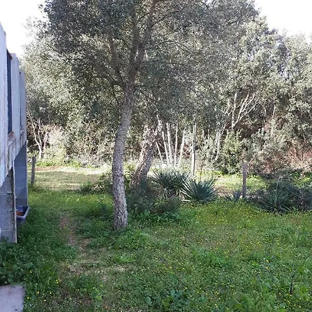 Casa Gattu Hébergement de vacances Porto-Vecchio (Corsica)